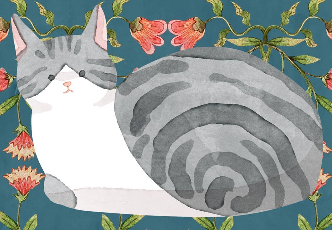 猫咪插画师Amelia Rizky可爱猫猫搞笑参考素材临摹插图表情【T209】