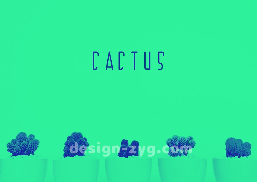 Cactus Display现代气息几何无衬线设计师英文字体免费下载