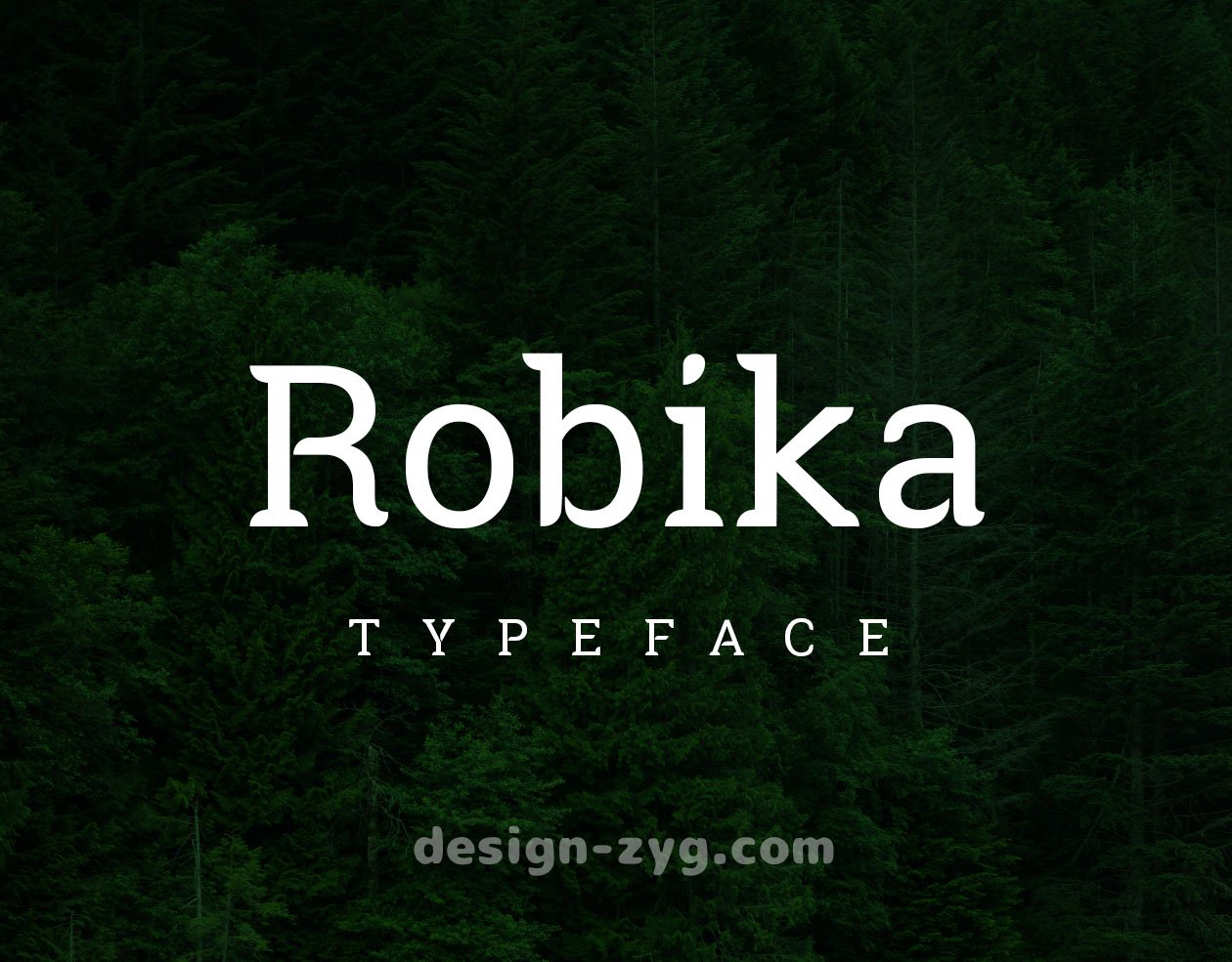 Robika Serif Typeface 绿色环保独特的高端衬线英文字体免费下载