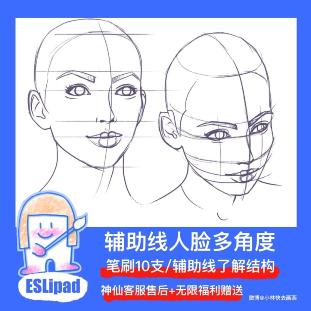 procreate辅助线笔刷,面部多角度辅助人脸ipad画画基础练习ESL笔刷